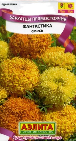 db4d883e-1532-11df-880e-0019dbe91ea3-2