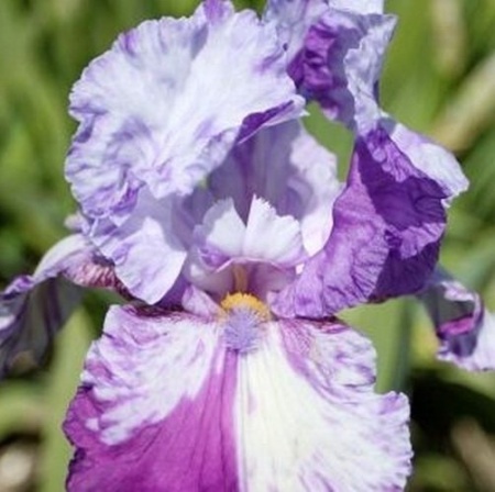 54845e90-df5f-11e9-95b5-005056c00008-1