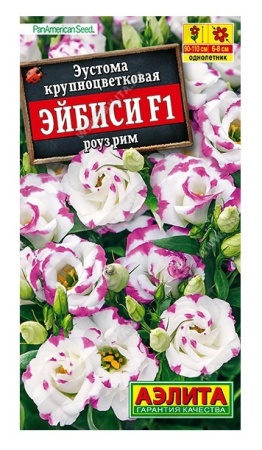 008a7cff-f8c9-11ea-b984-005056c00008-1