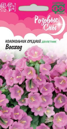 f8ca4731-ce8a-11eb-8e2c-005056c00008-1