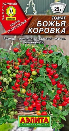 202d5bc2-3c02-11e0-9b93-00500454e615-1