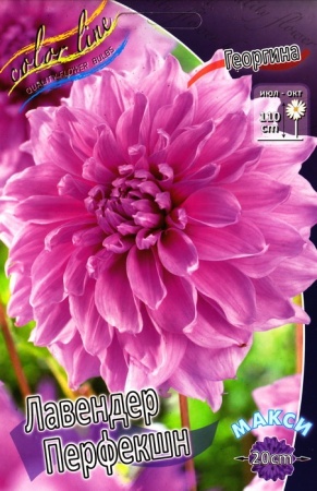 20c3ede8-2240-11e0-9fb4-00500454e615-2