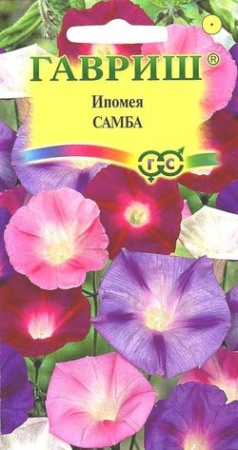 82f98c1b-798a-11e1-9ad6-00500454e615-1