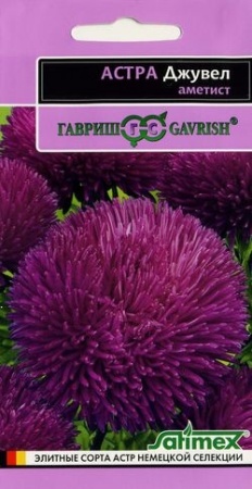 e439ba9b-2242-11e1-be7f-00500454e615-1