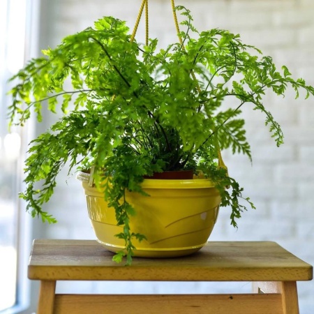 83d80a33-57fe-11ed-aea3-001e673ebdea-1