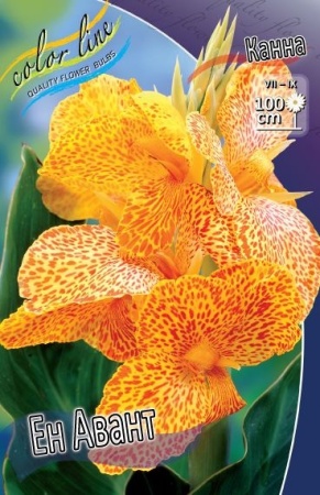 c259e974-278c-11df-882b-0019dbe91ea3-1