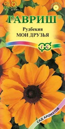 9b4cfed5-dcea-11dd-9138-00500454e615-1