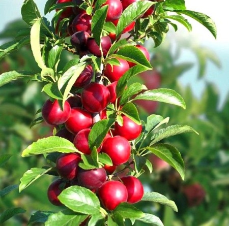 b88dc15f-bed3-11f0-891d-246e9611e8f7-1