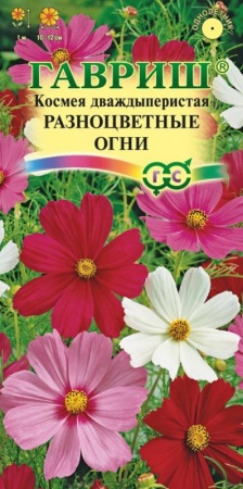 7d524d31-dcea-11dd-9138-00500454e615-1