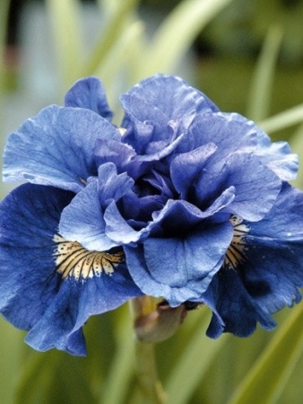 94bfd7f6-a05e-11e3-8625-001e673ebdea-1