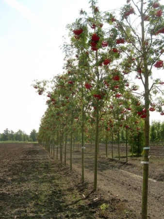 54d221d7-ece3-11ee-890b-246e9611e8f5-1