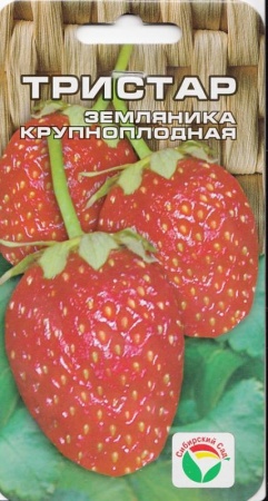 df63a221-e9cc-11e0-9ebd-00500454e615-1