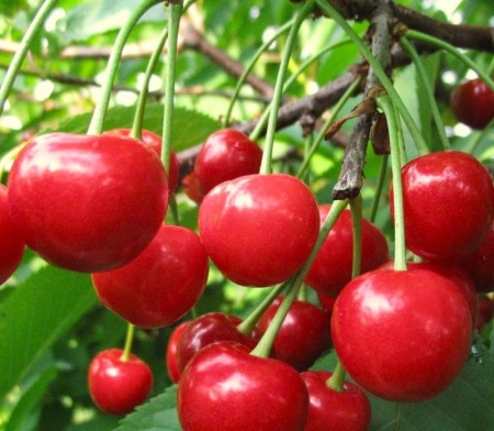 71a7f5d8-be48-11f0-891d-246e9611e8f7-1