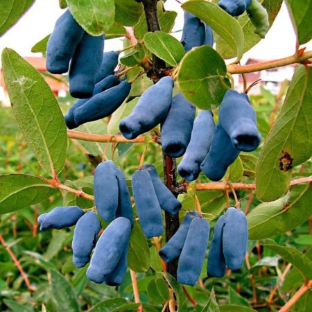 1448e35d-25db-11f0-8918-246e9611e8f6-1