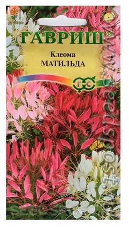 ea8a483c-f6eb-11e7-b46d-005056c00008-2