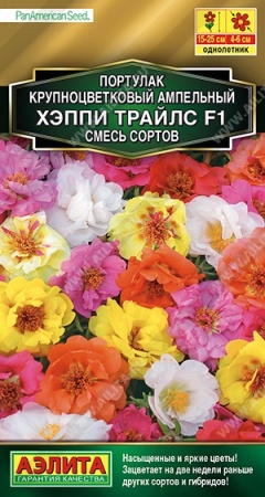 55b71c18-0e23-11ec-a8a4-005056c00008-1