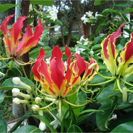 61cea121-23d1-11e9-b36c-005056c00008-1