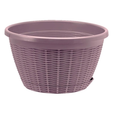 4e506ed0-db24-11ef-8915-246e9611e8f5-1