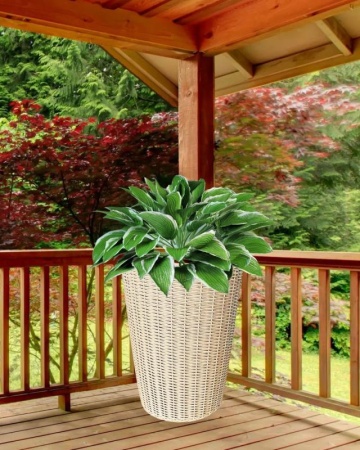 558eb32b-df17-11f0-891e-246e9611e8f6-1