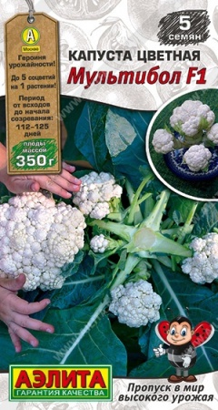 bfbe498f-0a68-11ec-a8a4-005056c00008-2