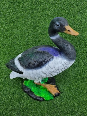 009dac2b-1450-11f0-8918-246e9611e8f6-1